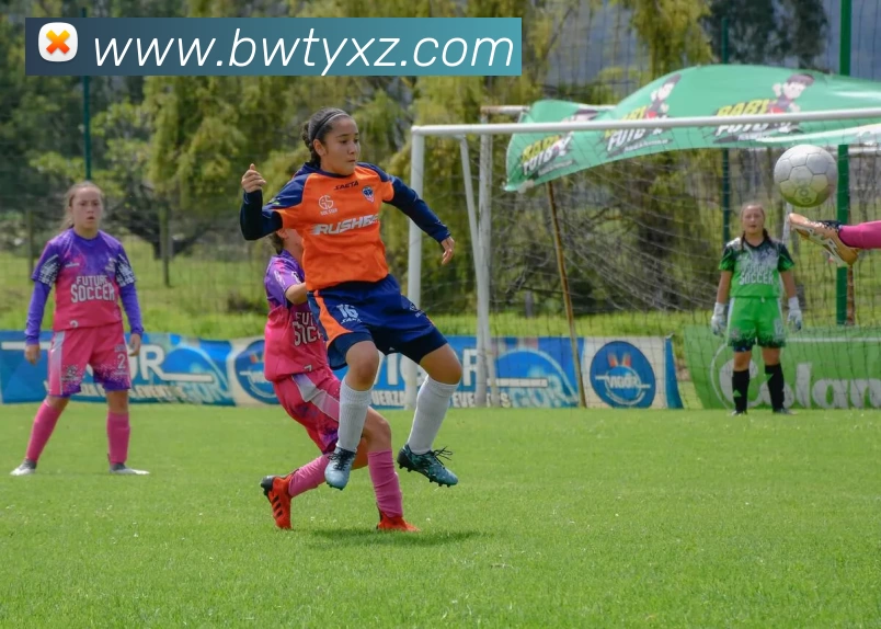 必威体育App发展历程